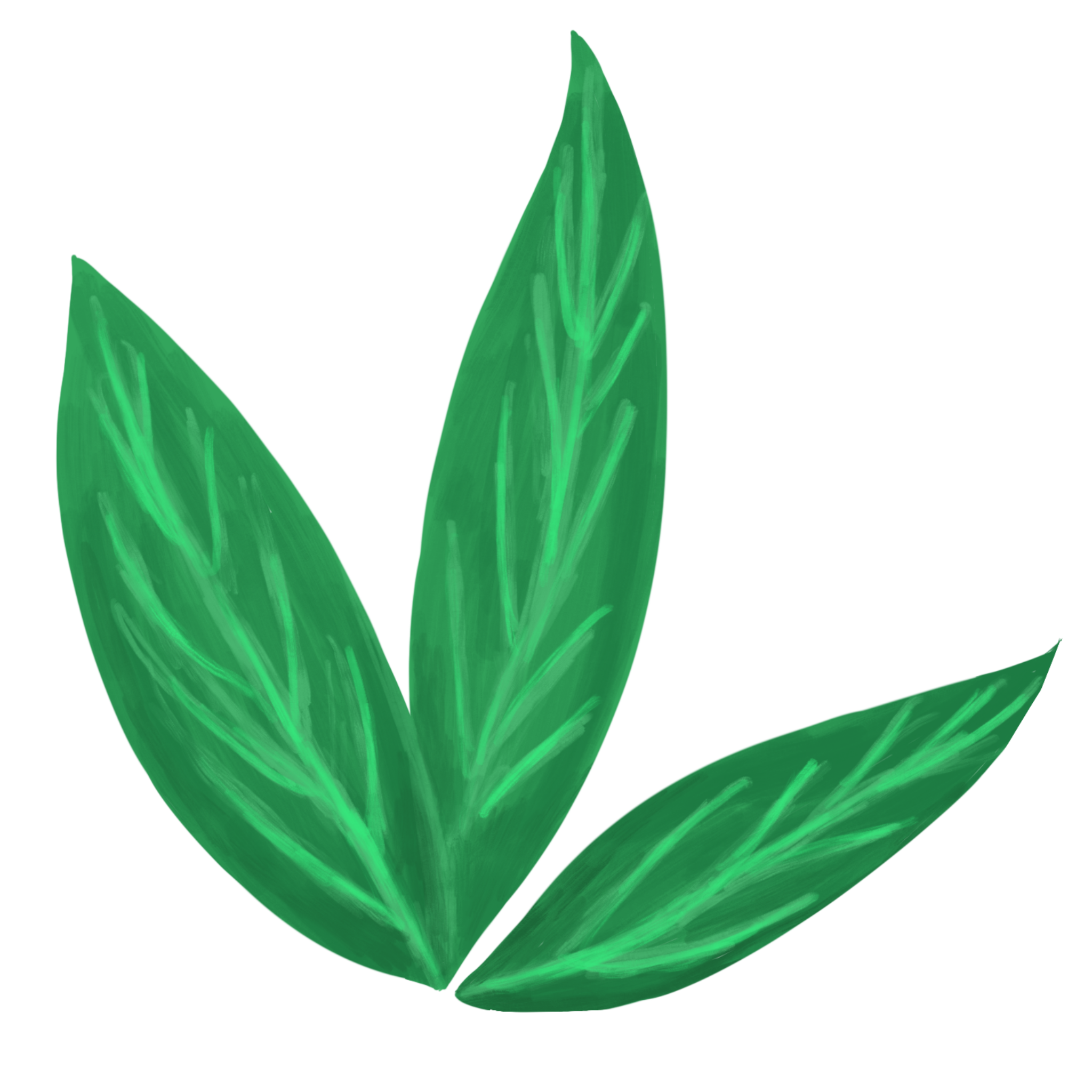 Leaves image